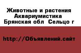 Животные и растения Аквариумистика. Брянская обл.,Сельцо г.